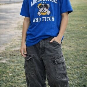 Abercrombie and Fitch (Vintage Y2K 2000's) Mens Wideleg cargo pants (gray)